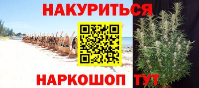 стафф Гусев