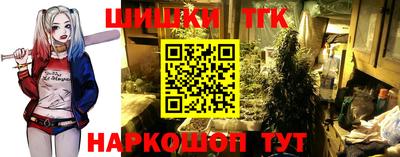 стафф Гусев