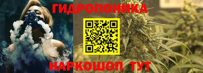 эйфоретик Гусиноозёрск