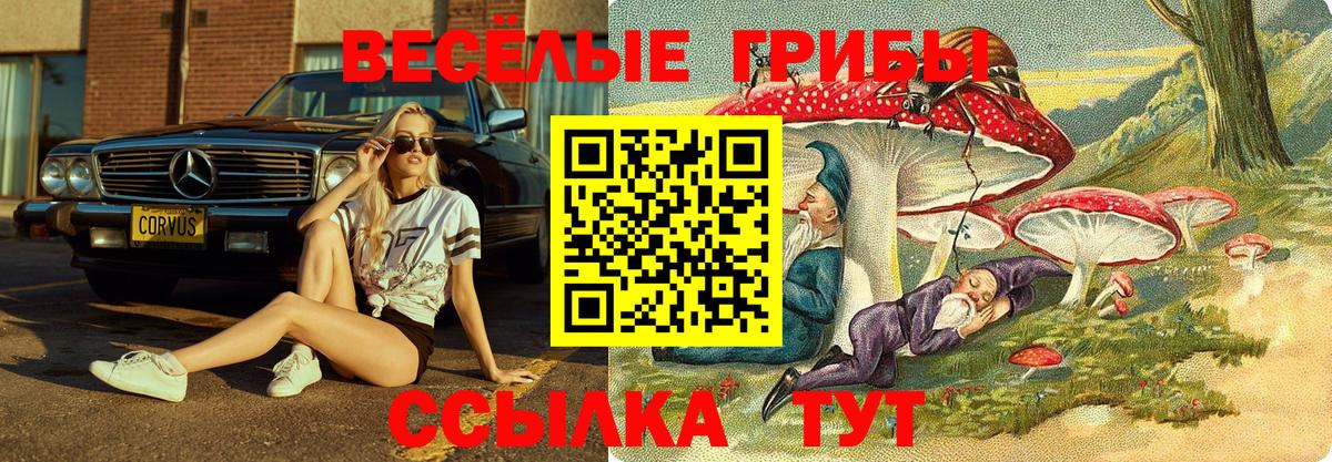 Нижнекамск  Галлюциногенные грибы Magic Shrooms  Галлюциногенные грибы мухоморы  как найти закладки  Вход с VPN 
